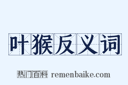 叶猴反义词是什么意思的图片